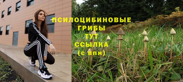 дживик Алзамай