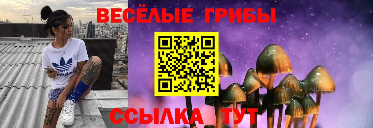 Псилоцибиновые грибы Cubensis  Вход с VPN  Кудрово 