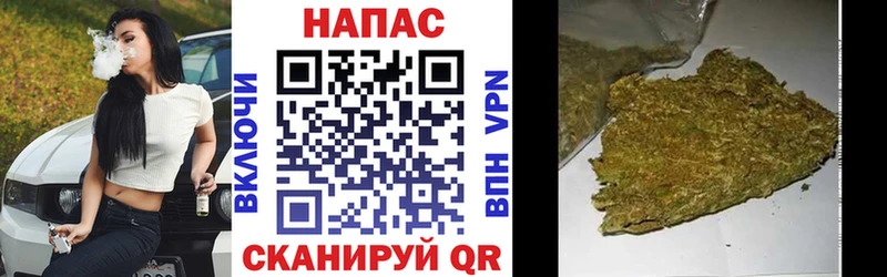 Бошки Шишки план Кудрово